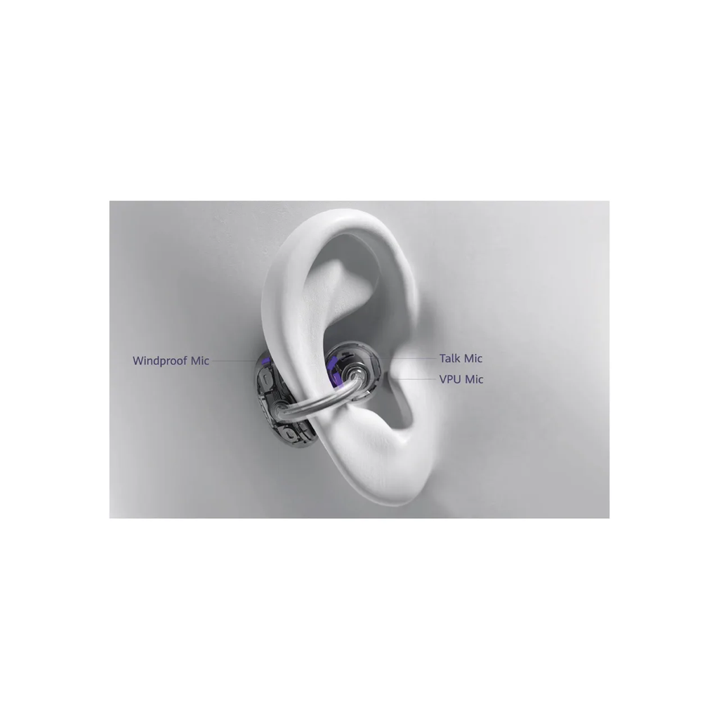 BLT210Lila4.webp