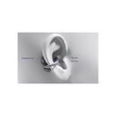 BLT210Lila4.webp